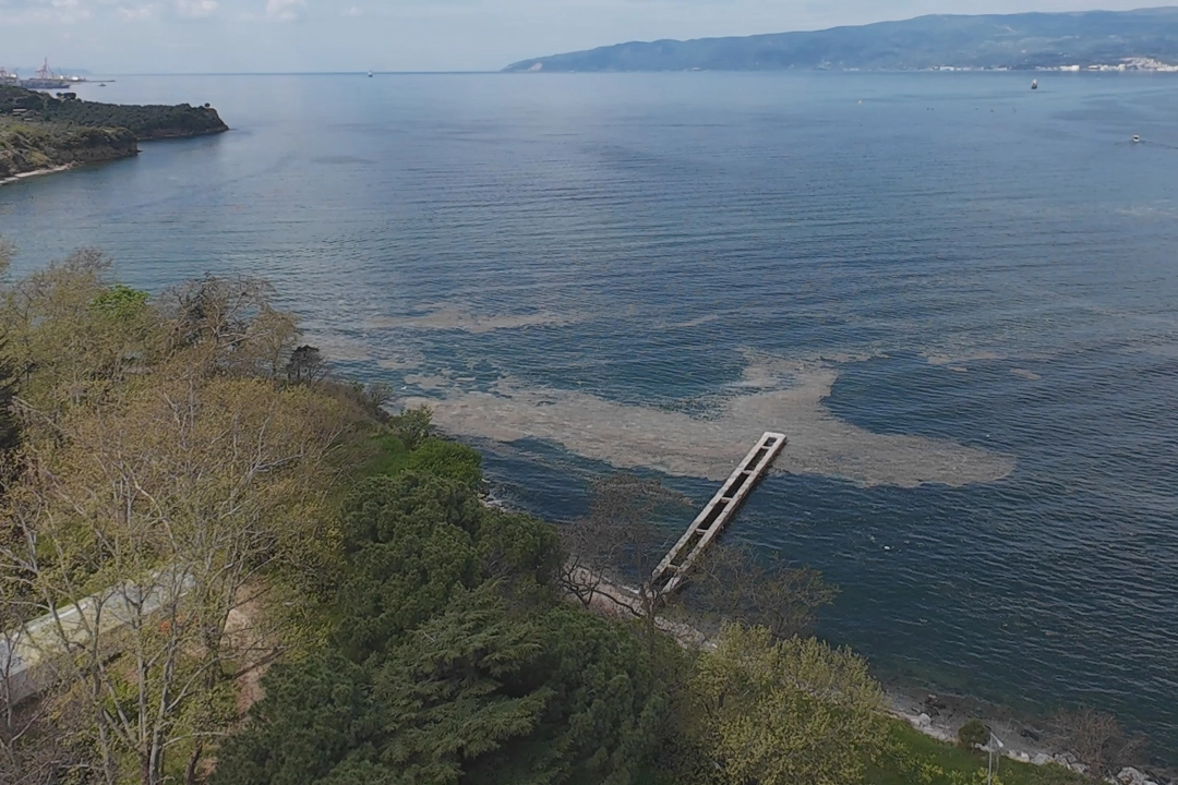 Müsilaj Gemlik Körfezi'nde yeniden görüldü