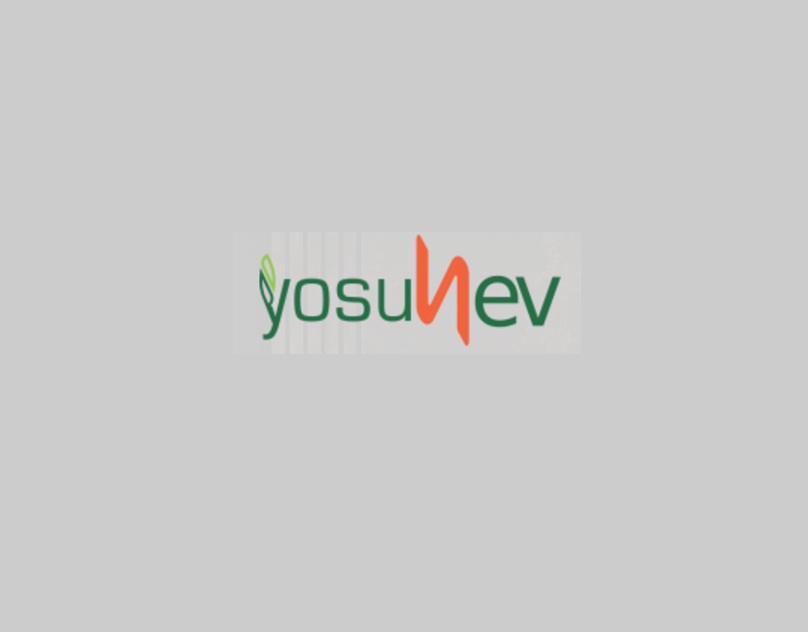 Dekorasyonda Doğallığın Pratik Hali: Yapay Sarmaşık