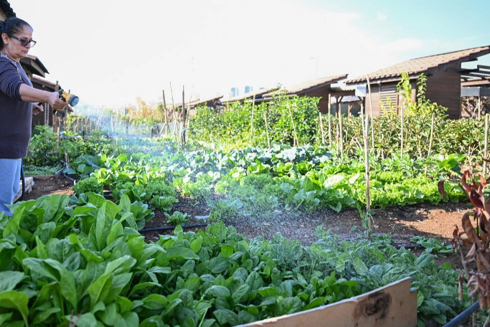 Mersin Hobi Parkı’nda kış hazırlıkları tamamlandı