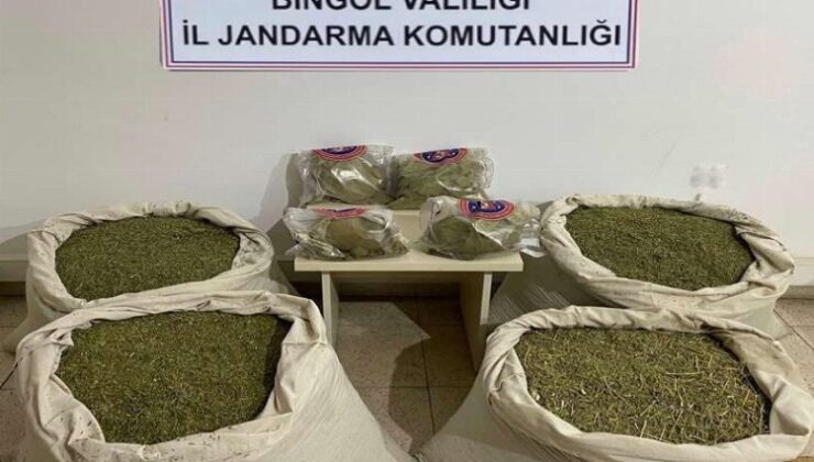 Bingöl’de 145 kilogram esrar ele geçirildi