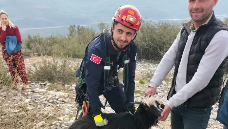 Kayalıklarda mahsur kalan keçiyi itfaiye ekipleri kurtardı
