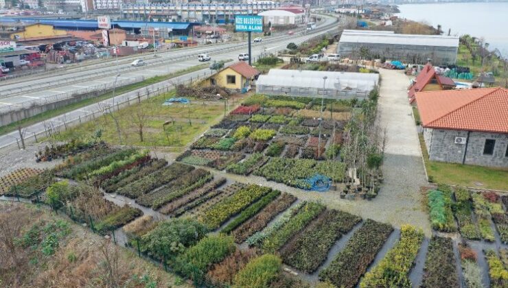 Rize’de 300 bitki türü üretiliyor