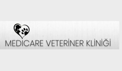 Kadıköy’de Sevimli Dostlarınız İçin Medicare Vet: Kaliteli Veterinerlik Hizmetleri