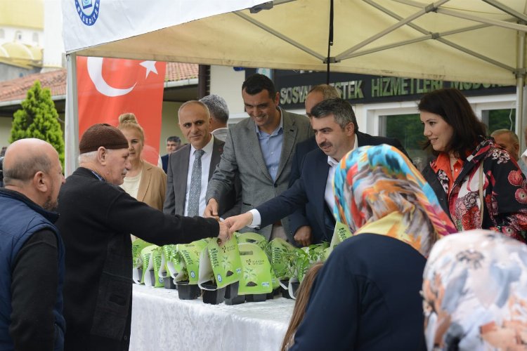 Bursa’da Yıldırım Belediyesi tarımsal