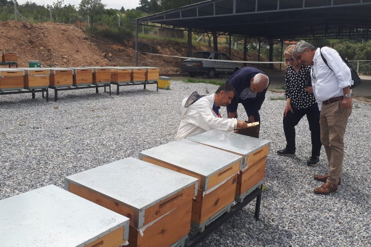 Manisa Büyükşehir Belediye Başkanı Cengiz Ergün öncülüğünde Gölmarmara ilçesine bağlı