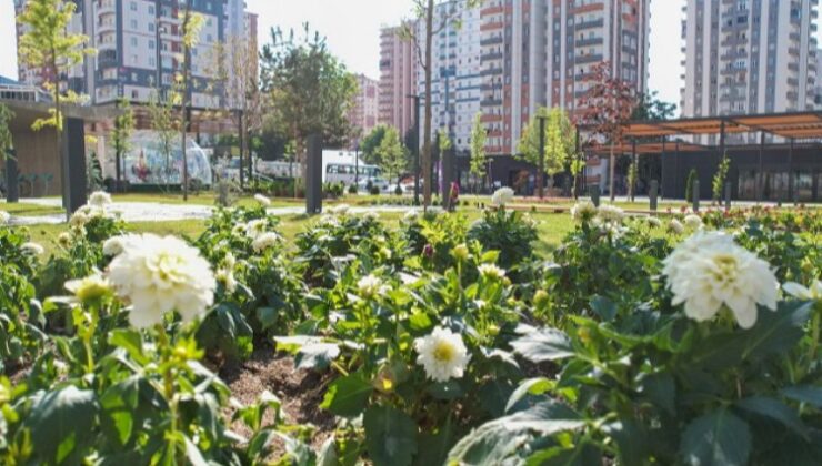 Kayseri Talas’ta rengarenk meydan