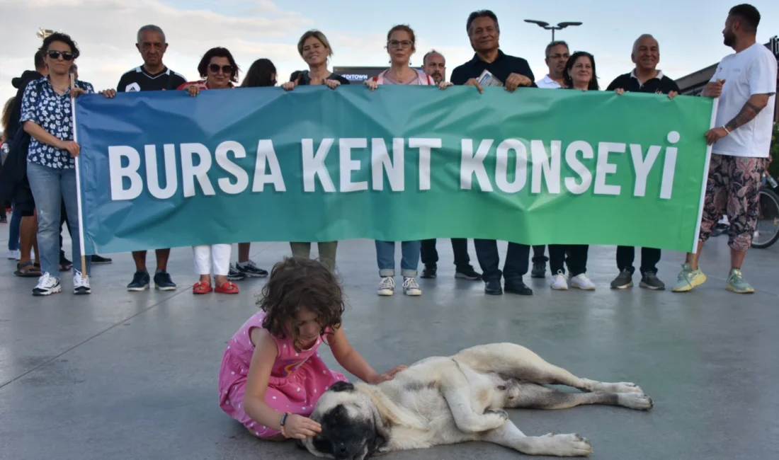 Bursa Kent Konseyi Hayvan Hakları Çalışma Grubu, Gemlik sahilinde yavru