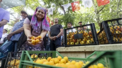 Mersin Büyükşehir Belediye Başkanı Vahap Seçer, Mut Belediyesi tarafından düzenlenen