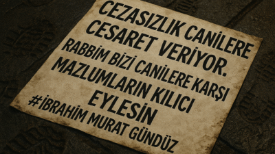 Başakşehir’de kediyi işkenceyle öldüren Burak Alan tutuklandı. İbrahim Murat Gündüz,