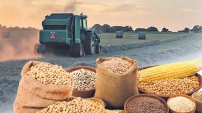 Türkiye Ürün İhtisas Borsası (TÜRİB), 18-22 Ağustos 2025 haftasında Elektronik