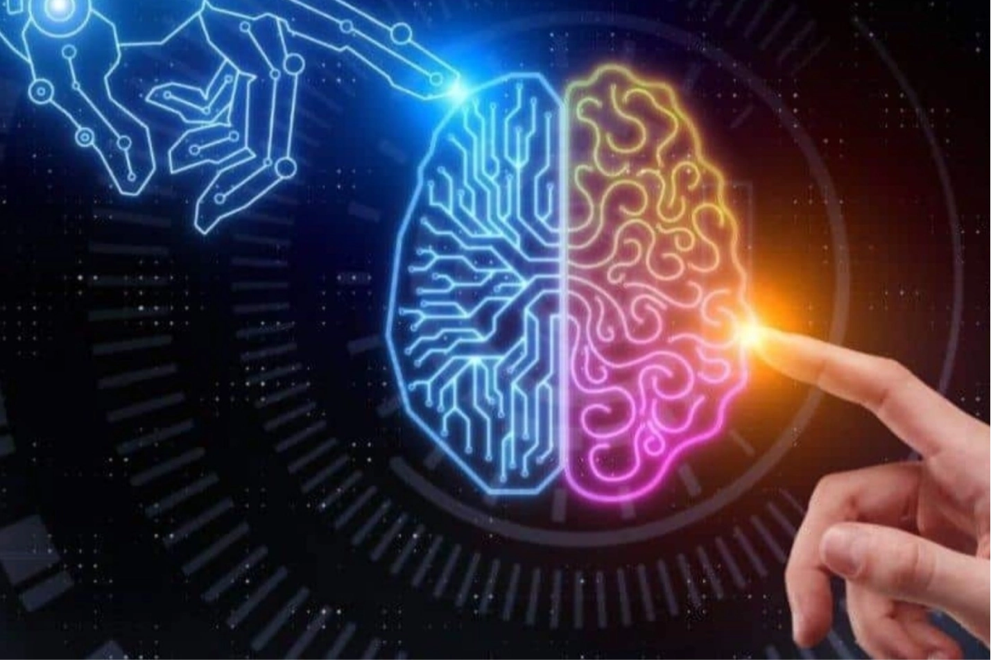 Yükseköğretim Kurulu (YÖK), Türkiye’nin önde gelen üniversitelerinden uzman akademisyenlerin katılımıyla