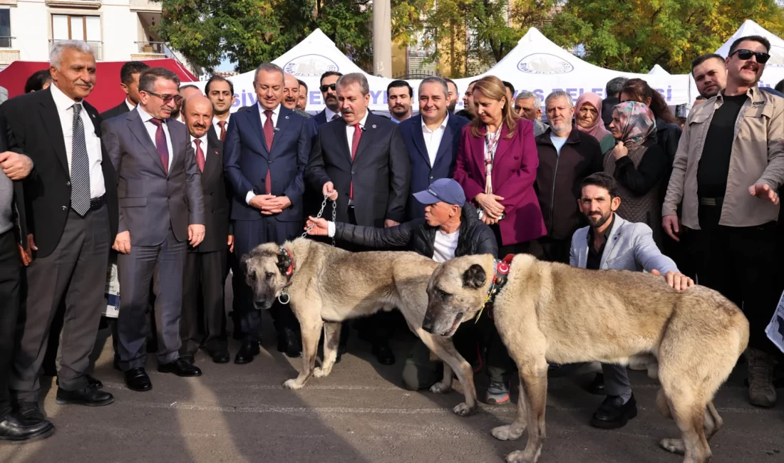 Ankara Keçiören’de ‘Sivas Günleri’ coşkusu Ankara’da Keçiören Belediyesi’nin ev sahipliğinde Ankara Sivaslı Dernekler Federasyonu (ASİDEF)