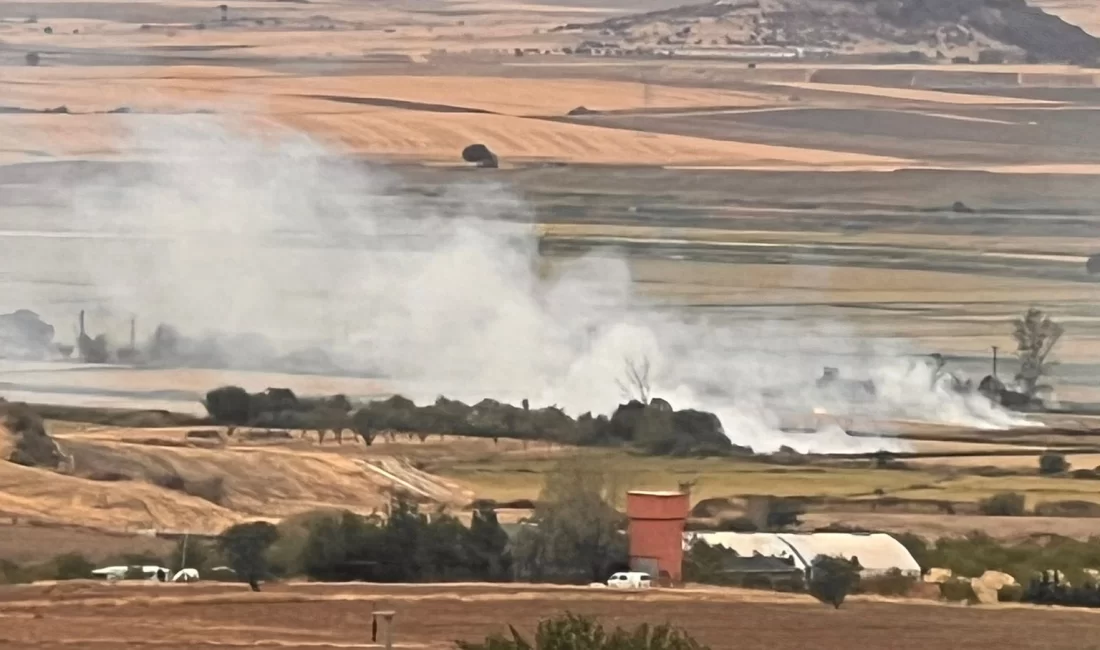 Edirne Keşan’da anız yakımına ortak tepki Edirne’nin Keşan ilçesindeki çevre örgütleri, yasak olmasına rağmen yapılan anız