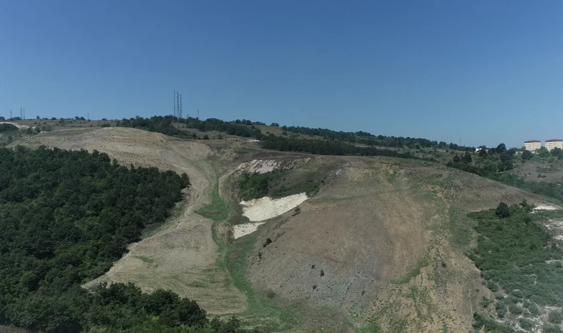 Kocaeli’de Kandıra Akçakese’ye 4 bin 500 ağaçlık doğal orman Kocaeli Büyükşehir Belediyesi, “Daha yeşil Kocaeli” için durmaksızın çalışıyor. Bu