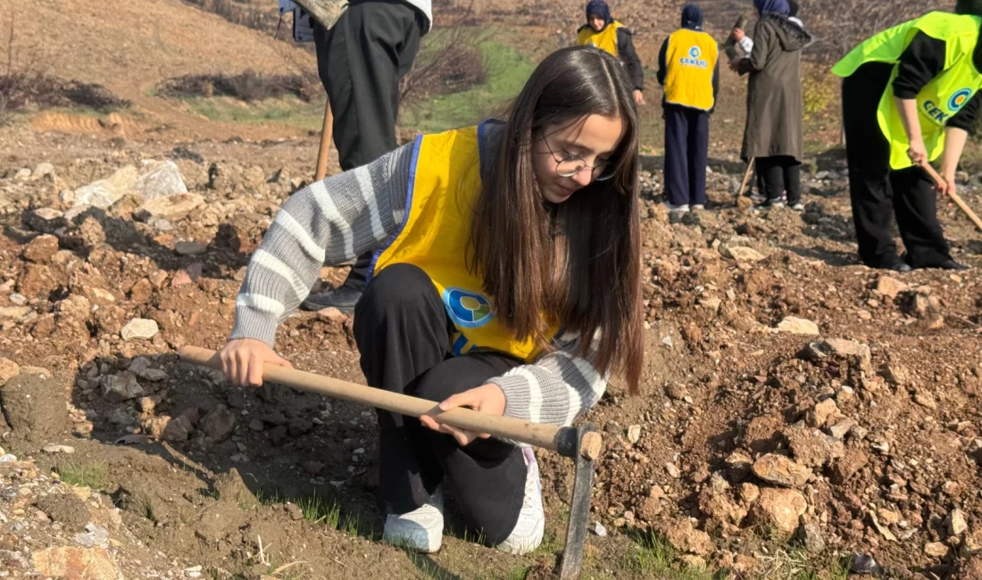 Bursa’nın Gürsu ilçesi Karahıdır Mahallesi, geçtiğimiz yaz yaşanan büyük orman