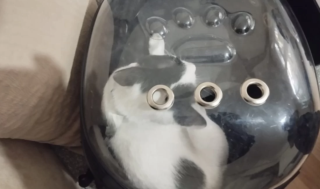 Kayseri Büyükşehir Belediyesi İtfaiye Daire Başkanlığı ekipleri, Melikgazi’de havalandırma boşluğuna