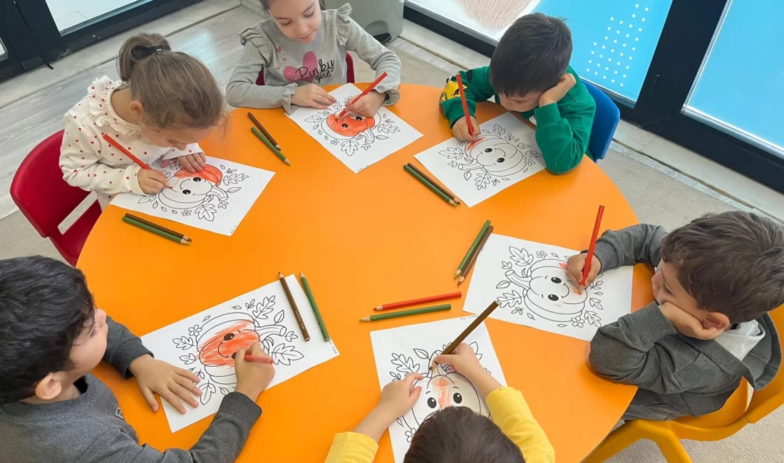 Kocaeli Büyükşehir Belediyesi Meslek ve Sanat Eğitimi Kursları (KO-MEK), sadece