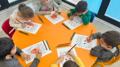 Kocaeli Büyükşehir Belediyesi Meslek ve Sanat Eğitimi Kursları (KO-MEK), sadece