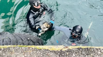 İzmir Büyükşehir Belediyesi İtfaiye Dairesi Başkanlığı ekipleri, Karşıyaka Vapur İskelesi’nin