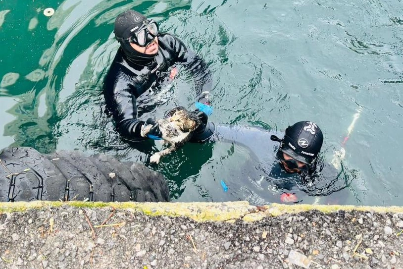 İzmir Büyükşehir Belediyesi İtfaiye Dairesi Başkanlığı ekipleri, Karşıyaka Vapur İskelesi’nin